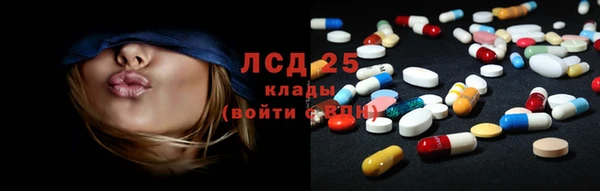гидропоника Гвардейск