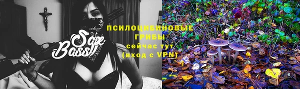 Альфа ПВП Пролетарск