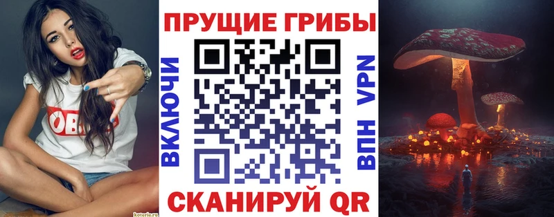 Псилоцибиновые грибы мицелий  Иноземцево 